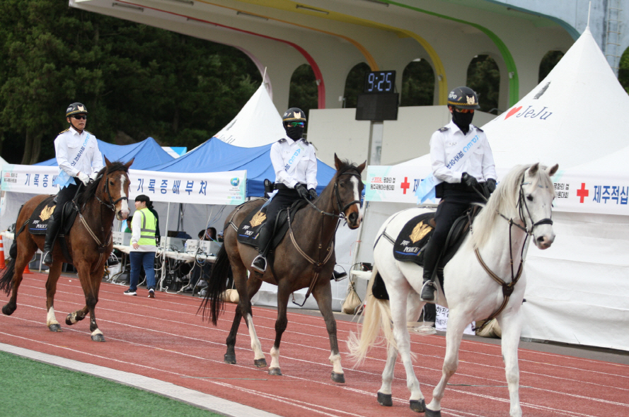 2024년_행사장(73)