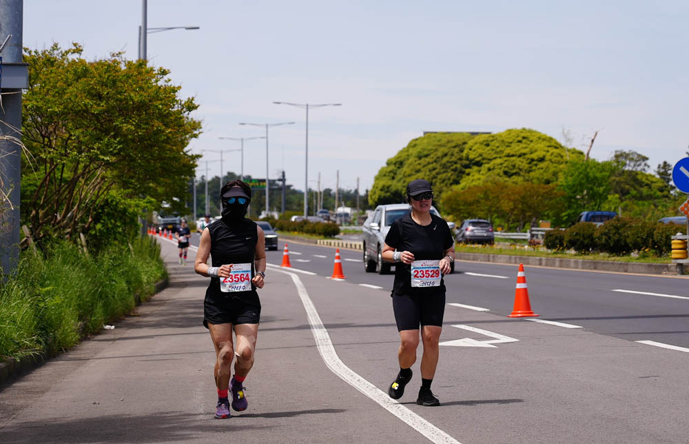 2025년_마라톤참가자_23564