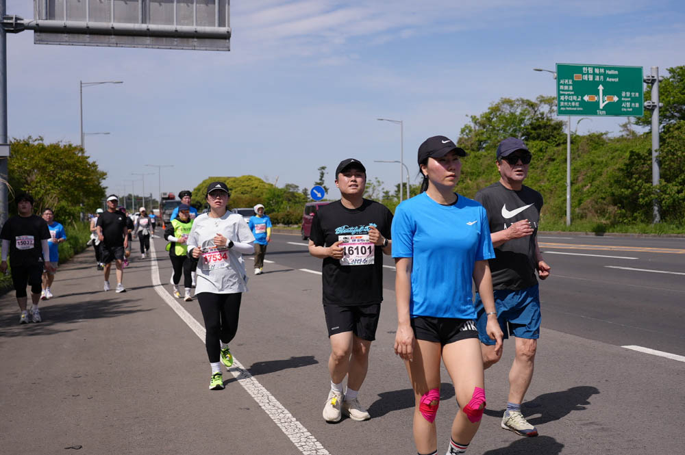 2025년_번호식별불가_176